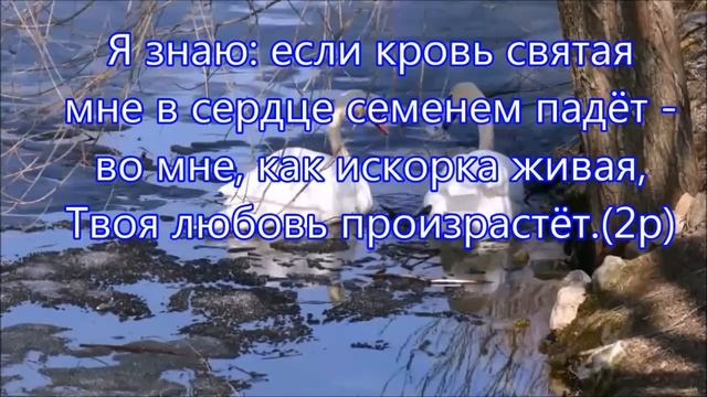 Позволь мне головой склоненной (караоке) смотреть онлайн