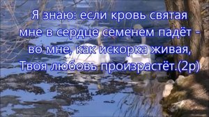 Позволь мне головой склоненной (караоке)