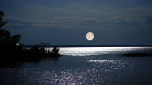 Ночь светла.  Поёт Валентина   Дробышева.