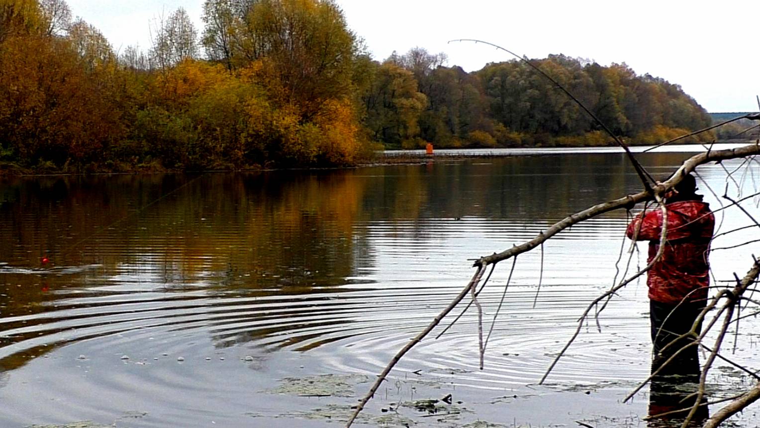 Ловля ЩУКИ на ЖИВЦА на ПОПЛАВОК ! Рыбалка на живца в конце октября! смотреть онлайн