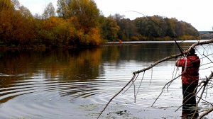 Ловля ЩУКИ на ЖИВЦА на ПОПЛАВОК ! Рыбалка на живца в конце октября!