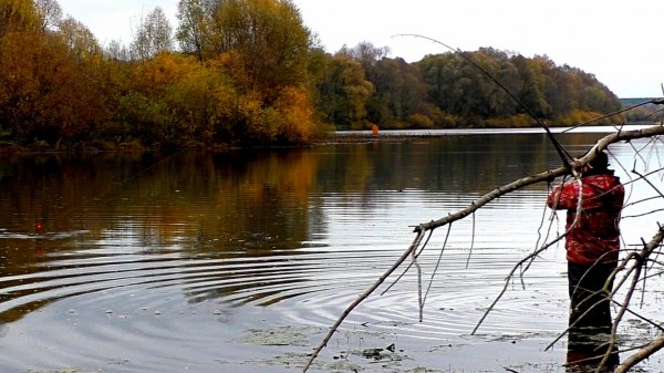 Ловля ЩУКИ на ЖИВЦА на ПОПЛАВОК ! Рыбалка на живца в конце октября!