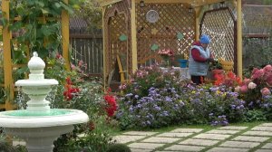 6 соток 28 сентября 2025 года. 1 часть.