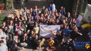 Волонтерские выезды в приюты с "Погуляй собаку"