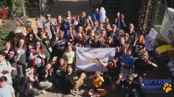 Волонтерские выезды в приюты с "Погуляй собаку"