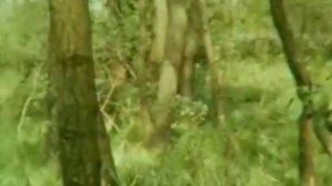 Высоцкий  Баллада о борьбе