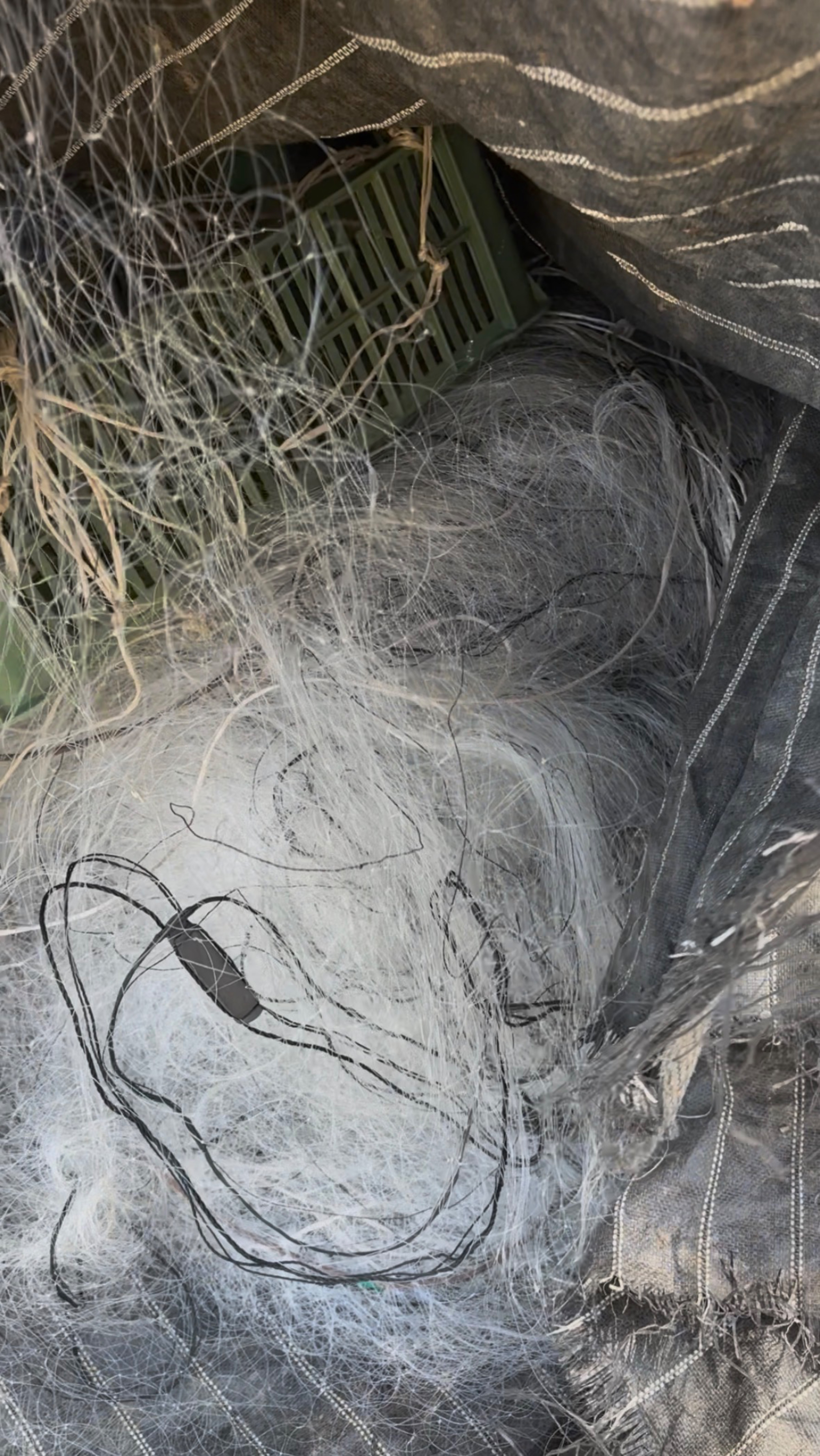 Тут ЛОГОВО Браконьеров. Километры сетей смотреть онлайн