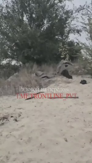 Бойцы группировки войск "Запад" взяли в плен троих ВСУ