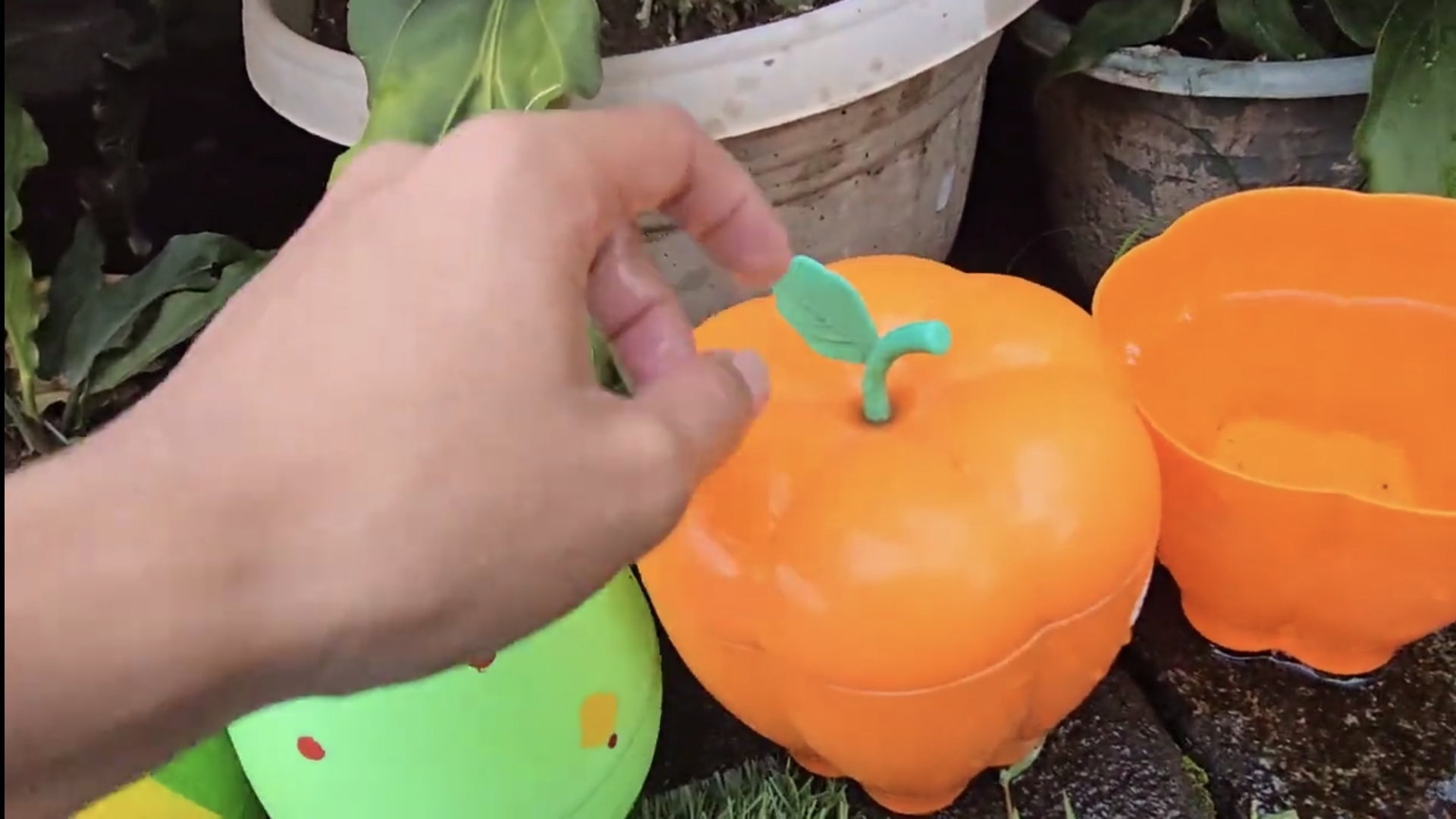 Рыби в аквариуме смотреть онлайн