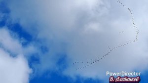 Целуют небо журавли