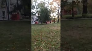 Русский тупик