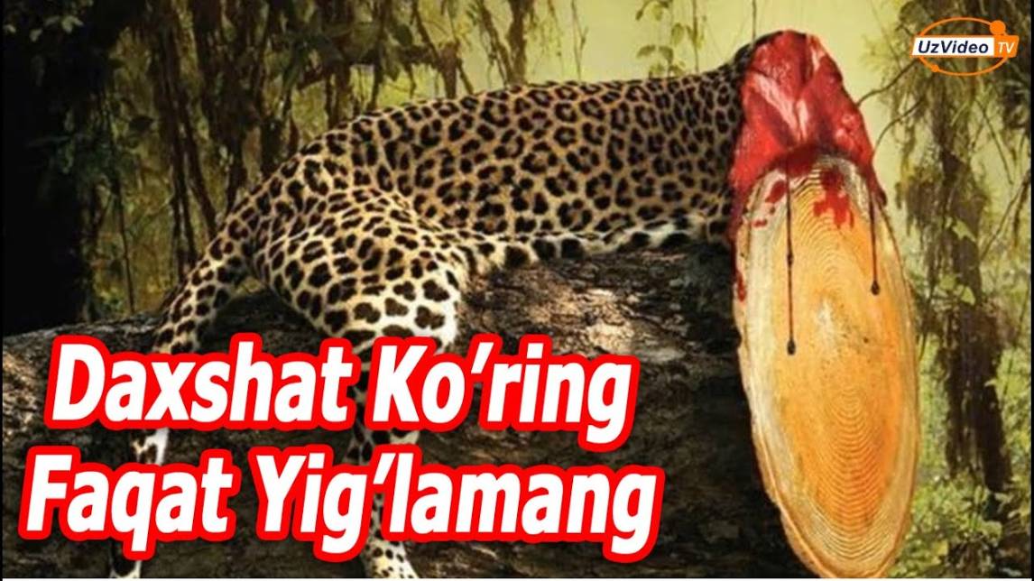 Ijtimoiy Reklamalarning Durdona Asarlari - Dunyodagi Daxshatli Hodisalarga Yaqin !!!