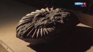 Сокровища нации - 22.08.2025