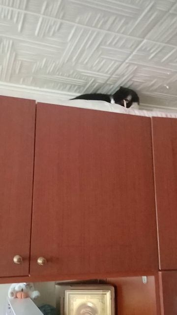 ну и зачем🙄