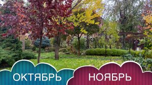 РАБОТЫ ДАЧНИКА В ОКТЯБРЕ-НОЯБРЕ