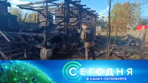 «Сегодня в Санкт-Петербурге»: 2 октября 2025 года