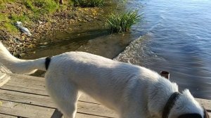 Рыбалка в Дельте Волги 2 октября