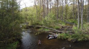 Дикие звери. Осень. Тайга. Горная река. Рыбалка