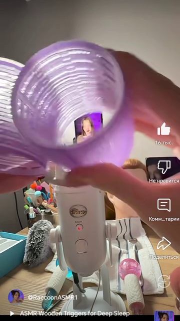 Raccon ASMR смотреть онлайн