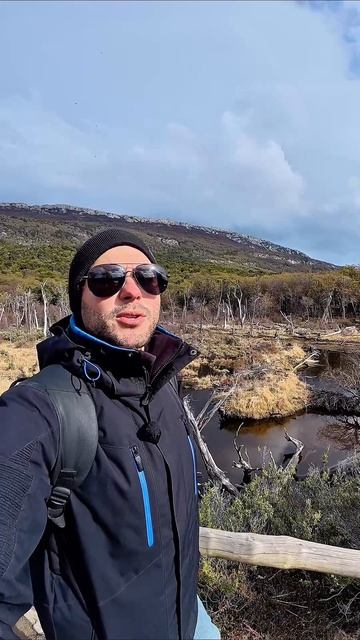 Мохнатая угроза 🦫

#аргентина #argentina #ушуайя #ушуая #ushuaia #огненнаяземля #tierradelfuego #pat