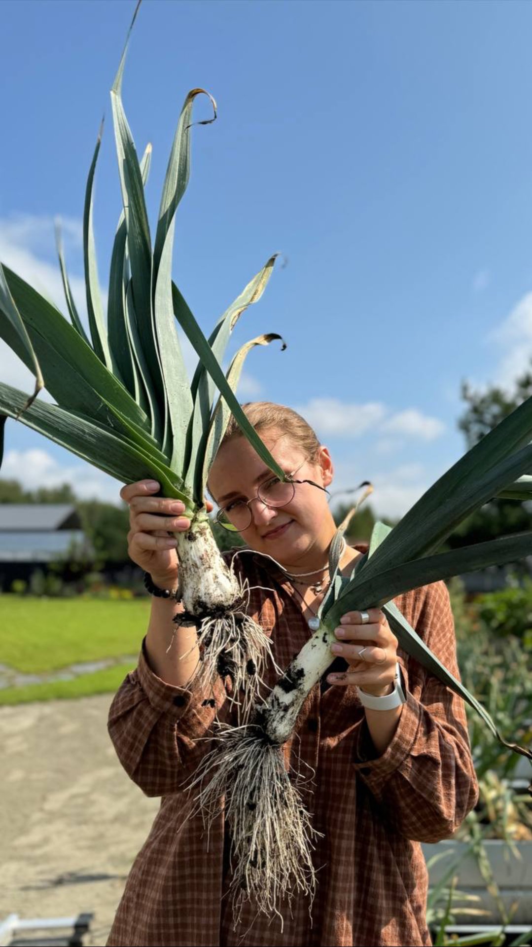 ЛУК ПОРЕЙ ЗИМНИЙ ГИГАНТ смотреть онлайн