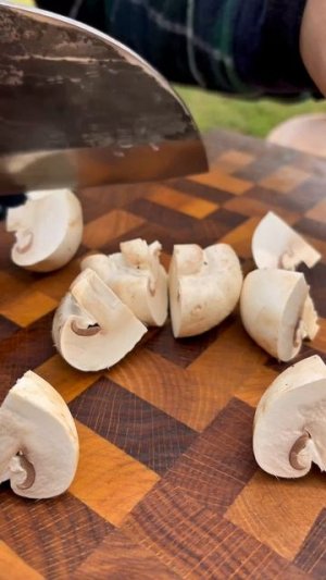 Мясо на костре