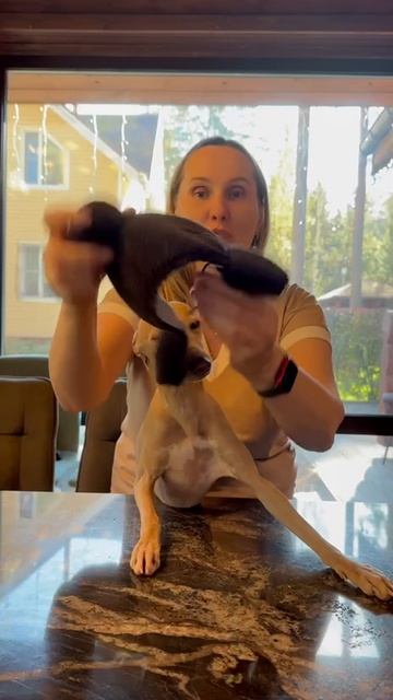 Шапка для собаки, закрытые уши, ШЕРПА