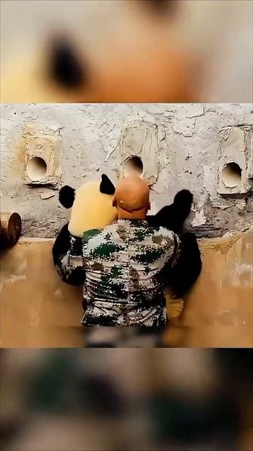 Предатель 😁😁😁 смотреть онлайн