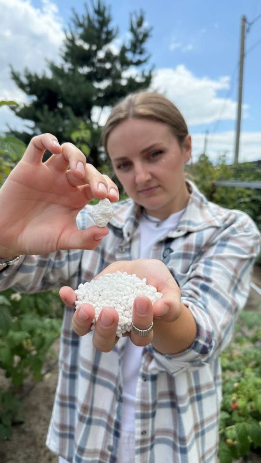 СКОЛЬКО УДОБРЕНИЙ ВНОСИТЬ ОСЕНЬЮ? смотреть онлайн