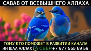 Дуа для исполнения желаний на каждый  день. Слушайте Коран !!