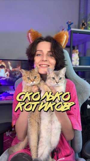 Сколько котиков на видео???