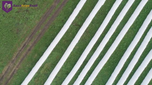 Отзыв о технологии заготовки кормов в линию смотреть онлайн