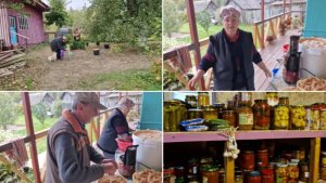 ПРОВОЗИЛИСЬ С ЯБЛОКАМИ. К НАМ ЗАЕХАЛИ РЕБЯТА.