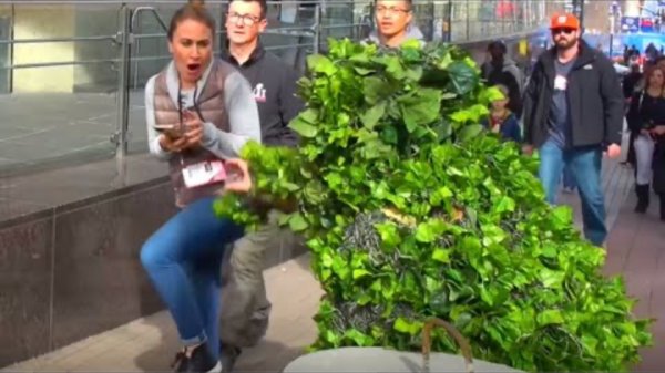 She didn't think it was funny! Everyone else thought it was