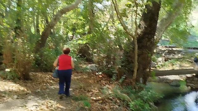 ШИКАОХСКИЙ ЗАПОВЕДНИК.Платановая роща Армения.10.09.2025.День3. смотреть онлайн