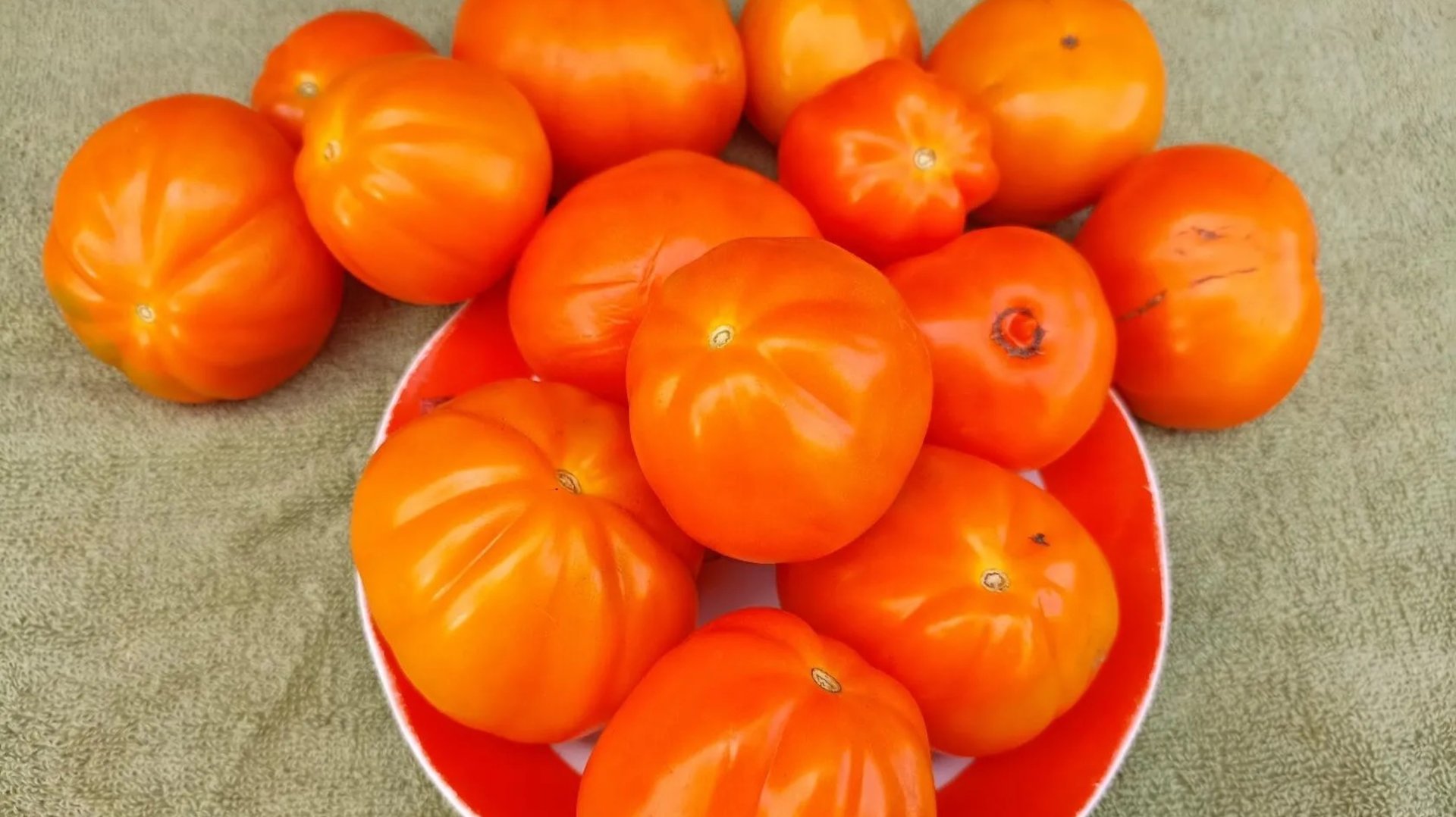 Подобрала для вас лучшие сорта желтоплодных томатов! Пополняйте свою коллекцию! смотреть онлайн