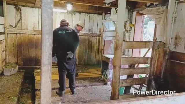 Теперь этим занимаются мужики🎨🖌️Под моим чутким руководством 😉