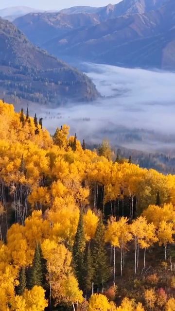 #Алтай #Россия.