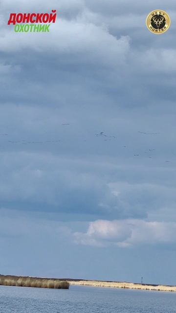 Охота на гуся .Отличное блюдо получилось смотреть онлайн