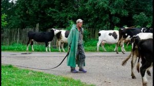 Края родные Душевная песня о Родине