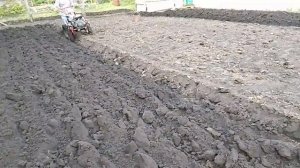 Обзор вспашки с мотоблоком Агро и мои секреты.