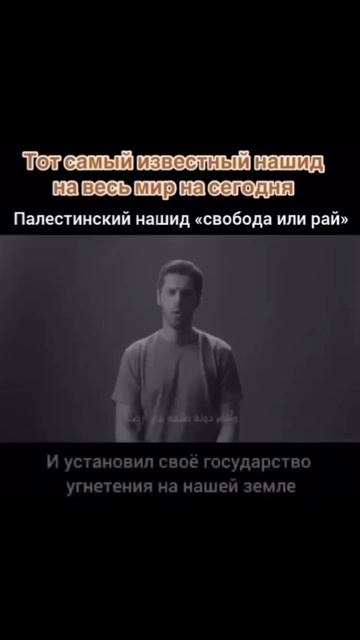 Палестина❤.mp4 смотреть онлайн