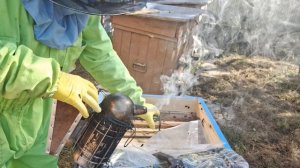 Окончательно формируем пчелиное гнездо в зимовку.