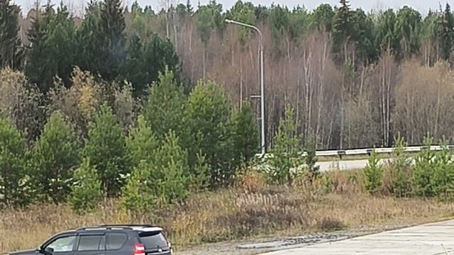 С первым снегом 🌨️ событие-то какое!!! смотреть онлайн