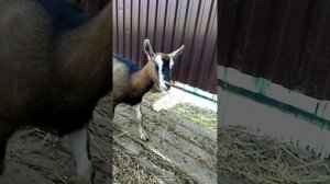 Как у нас теперь дела