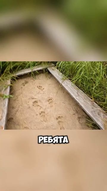 Гоша Бомжезьян и его друг Леха в Припяти Нейросеть