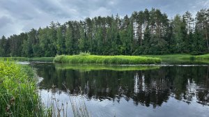 Голавль в июне, рыбалка за сотни км от дома на новой реке.
