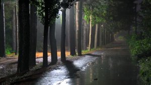 Звук дождя 🌧️ для быстрого сна, успокаивающий белый шум и снятие бессонницы