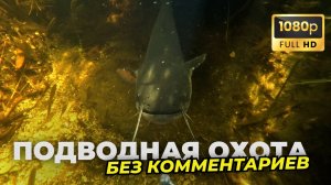 20 минут подводной охоты под расслабляющую музыку