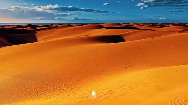 Cafe De Anatolia ETHNO WORLD – Arabic Deep House & Arabic Dance Remix смотреть онлайн